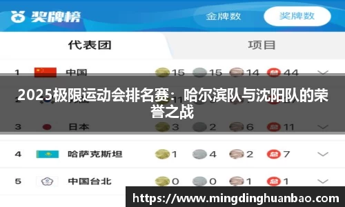 2025极限运动会排名赛：哈尔滨队与沈阳队的荣誉之战